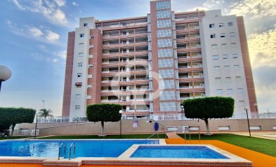 Apartamento / piso - Reventa - Guardamar del Segura -
                Guardamar pueblo