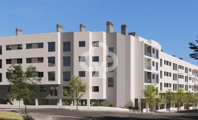 Apartamentos - Neue Gebäude - Alicante / Alacant -
                03005, Calle Deportista Pitu Perramon, 6