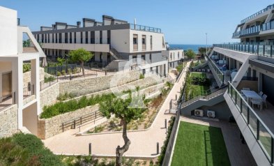 Apartamentos - Neue Gebäude - Gran Alacant -
                03130, Calle Orden Dórico, 551