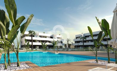Apartamentos - Neue Gebäude - Guardamar del Segura -
                03140
