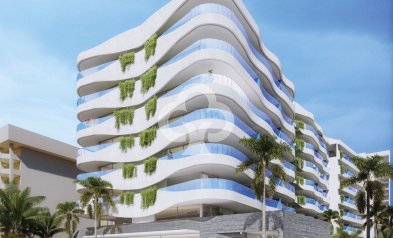 Apartamentos - New Build - Fuengirola -
                Calle Martínez Catena, 6