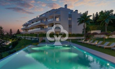 Apartamentos - New Build - Mijas -
                Calle Aralia s/n