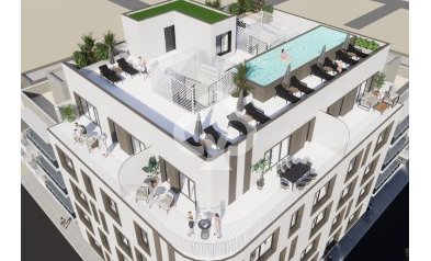 Apartamentos - Obra nueva - Torrevieja -
                Torrevieja