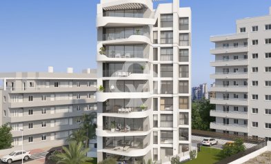 Apartamentos - Uudiskohde - Guardamar del Segura -
                03140