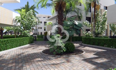 Apartamentos - Uudiskohde -
            Torre-Pacheco - NB-22715