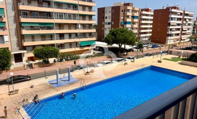 Apartment - Reventa - Torrevieja -
                Punta Prima