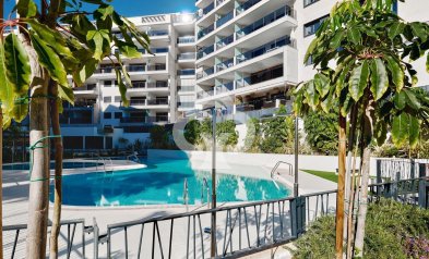 Apartment - Wiederverkauf - Dehesa de campoamor -
                Campoamor