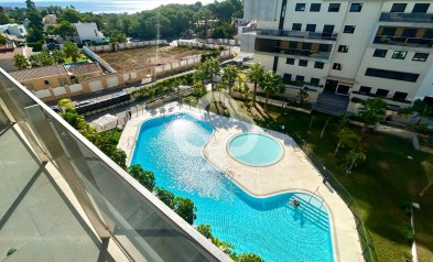 Apartment - Wiederverkauf - Dehesa de campoamor -
                Campoamor