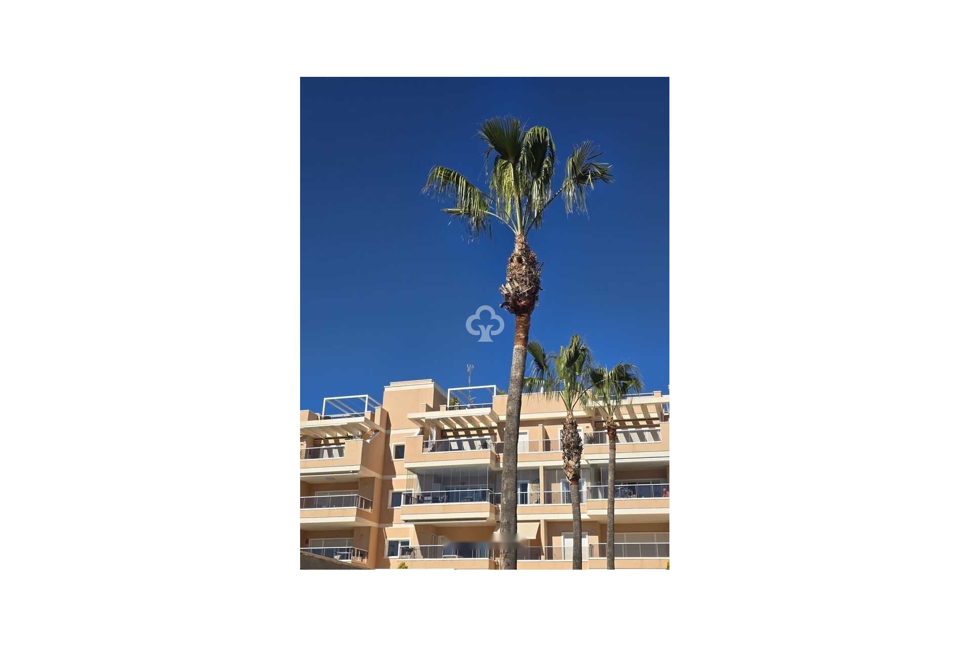 Återförsäljning - Lägenhet / lägenhet -
Orihuela Costa - Los Dolses