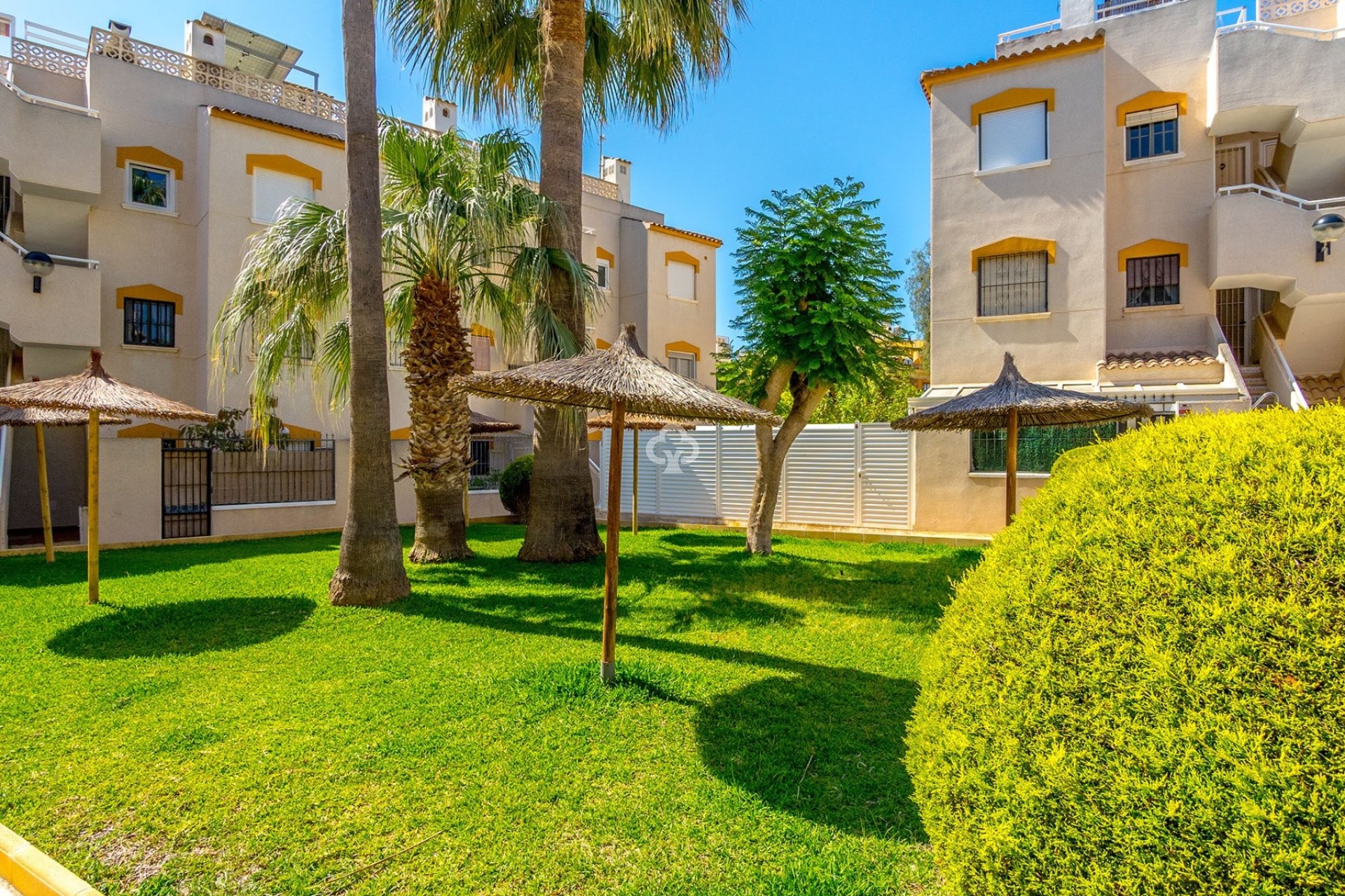 Återförsäljning - Lägenhet -
Orihuela Costa - Punta Prima