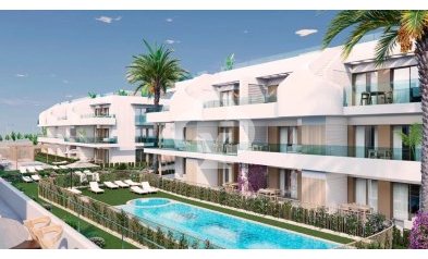 Áticos - Neue Gebäude - Pilar de la Horadada -
                03190, Calle Mayor, 132