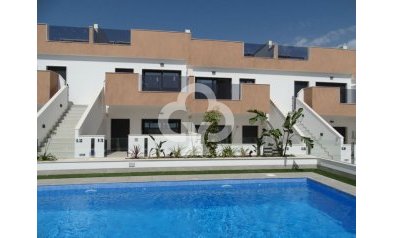 Áticos - Neue Gebäude - Pilar de la Horadada -
                03190