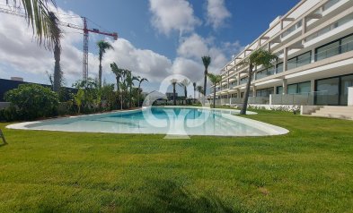 Áticos - New Build - Cartagena -
                30384