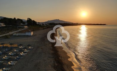 Áticos - New Build - Estepona -
                Estepona