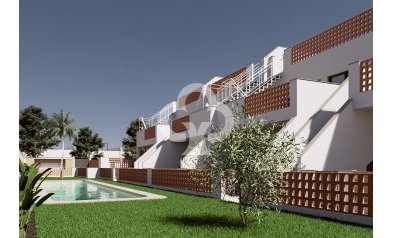 Áticos - New Build - Pilar de la Horadada -
                Pilar de la Horadada