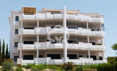 Áticos - Nybyggnation -
            Orihuela - NB-82453