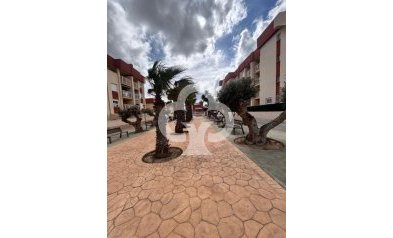 Áticos - Obra nueva - Orihuela -
                Orihuela