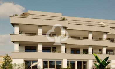 Bajos - Neue Gebäude - Hondón de las Nieves -
                03688