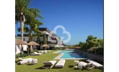 Bajos - New Build - Casares -
                Casares