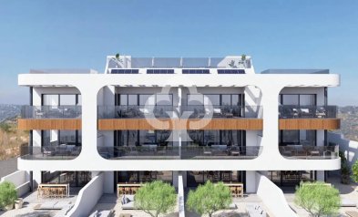 Bajos - Obra nueva - Benijofar -
                Calle Algorfa, 36