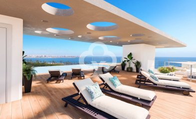 Bajos - Obra nueva - Torrevieja -
                Calle Pleamar, 22