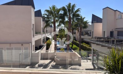 Bungalow - Jälleenmyynti - Torrevieja -
                03185