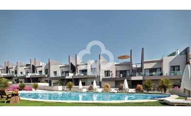 Bungalow - New Build - San Miguel de Salinas -
                San Miguel de Salinas