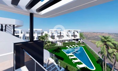 Bungalows - Obra nueva - San Fulgencio -
                03177