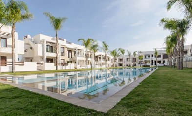 Bungalows - Obra nueva - Torrevieja -
                torrevieja