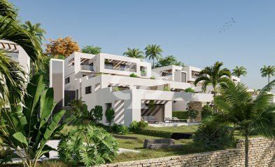 Duplexes - New Build - Monforte del Cid -
                Monforte del Cid
