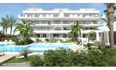 Flats - Jälleenmyynti - Torrevieja -
                torrevieja