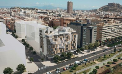 Flats - Neue Gebäude - Alicante / Alacant -
                Alicante / Alacant