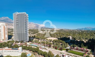 Flats - Neue Gebäude - Benidorm -
                Benidorm