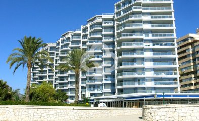 Flats - Neue Gebäude - Calpe -
                Calpe