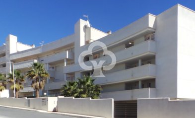 Flats - Neue Gebäude - Orihuela -
                Orihuela