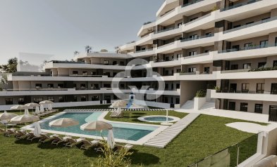 Flats - Neue Gebäude - San Miguel de Salinas -
                San Miguel de Salinas