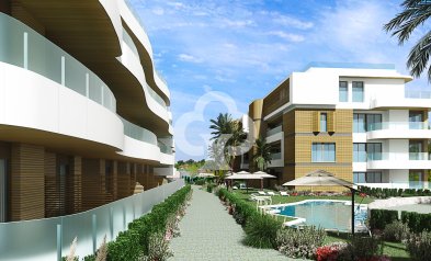 Flats - New Build - Orihuela -
                Orihuela