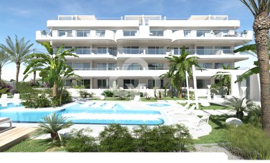 Flats - New Build - Orihuela -
                Orihuela