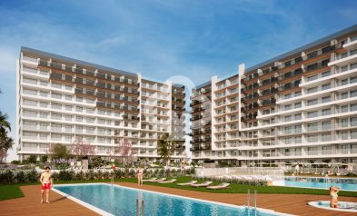 Flats - New Build - Torrevieja -
                torrevieja