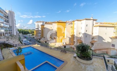 Huoneisto - Jälleenmyynti -
            Orihuela Costa - CBR2213