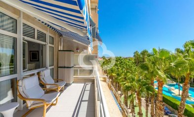 Huoneisto - Jälleenmyynti - Orihuela Costa -
                Dehesa de campoamor