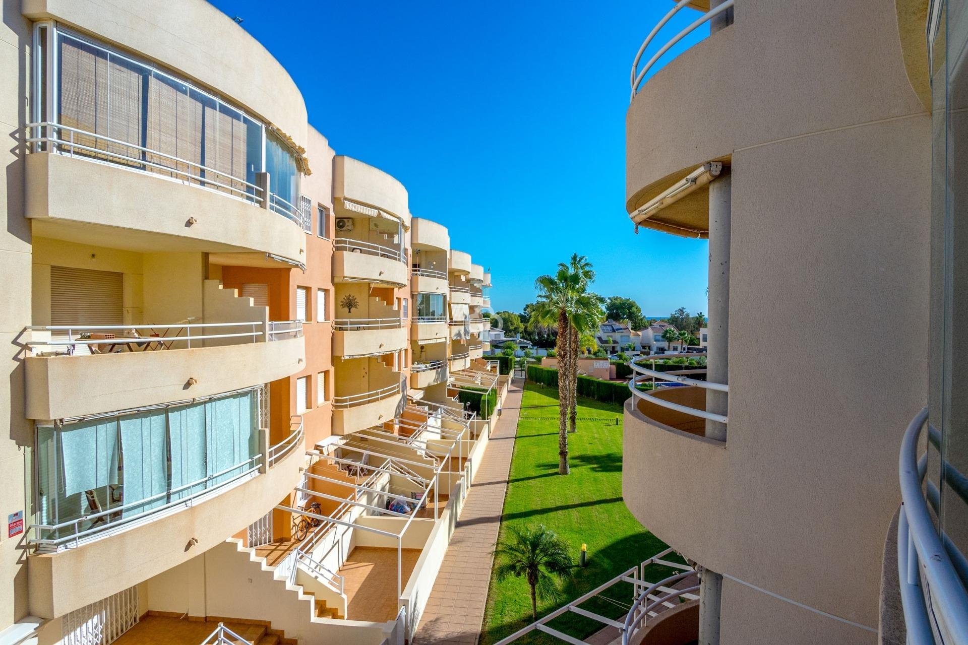 Jälleenmyynti - Apartment -
Dehesa de campoamor - Campoamor