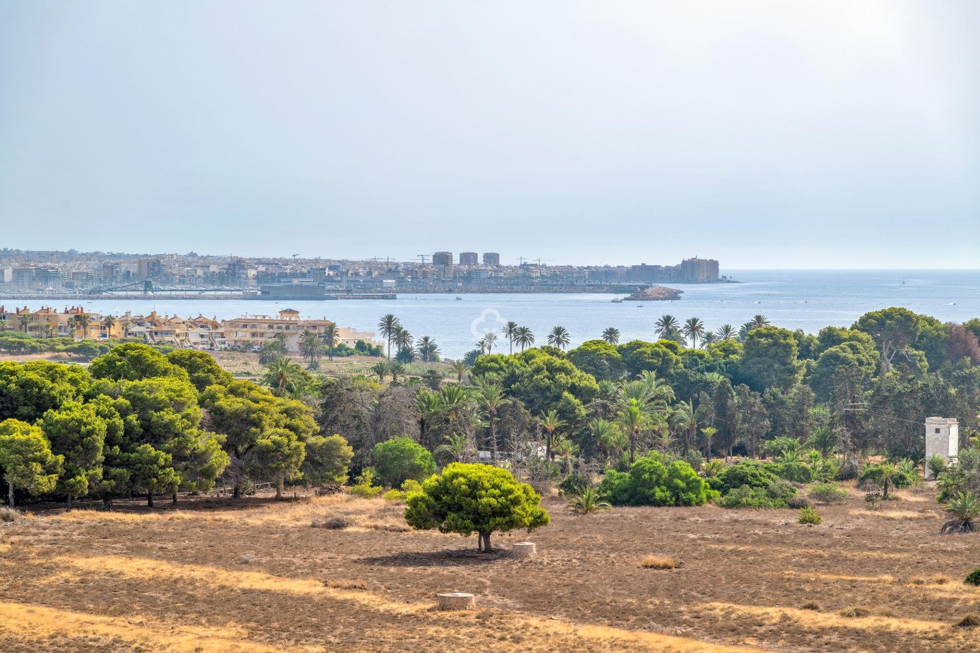 Jälleenmyynti - Apartment -
Torrevieja - Punta Prima