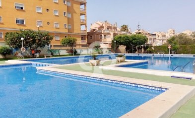 Lägenhet / lägenhet - Återförsäljning - Torrevieja -
                Nueva Torrevieja - Aguas Nuevas