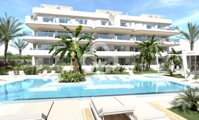 Lägenhet / lägenhet - Nybyggnation - Orihuela Costa -
                Cabo roig - La Zenia