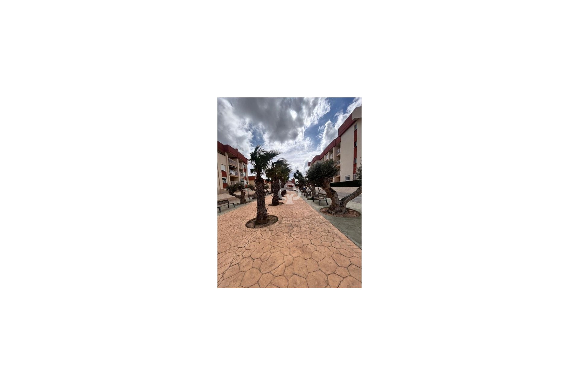 Neue Gebäude - Apartamentos -
Orihuela