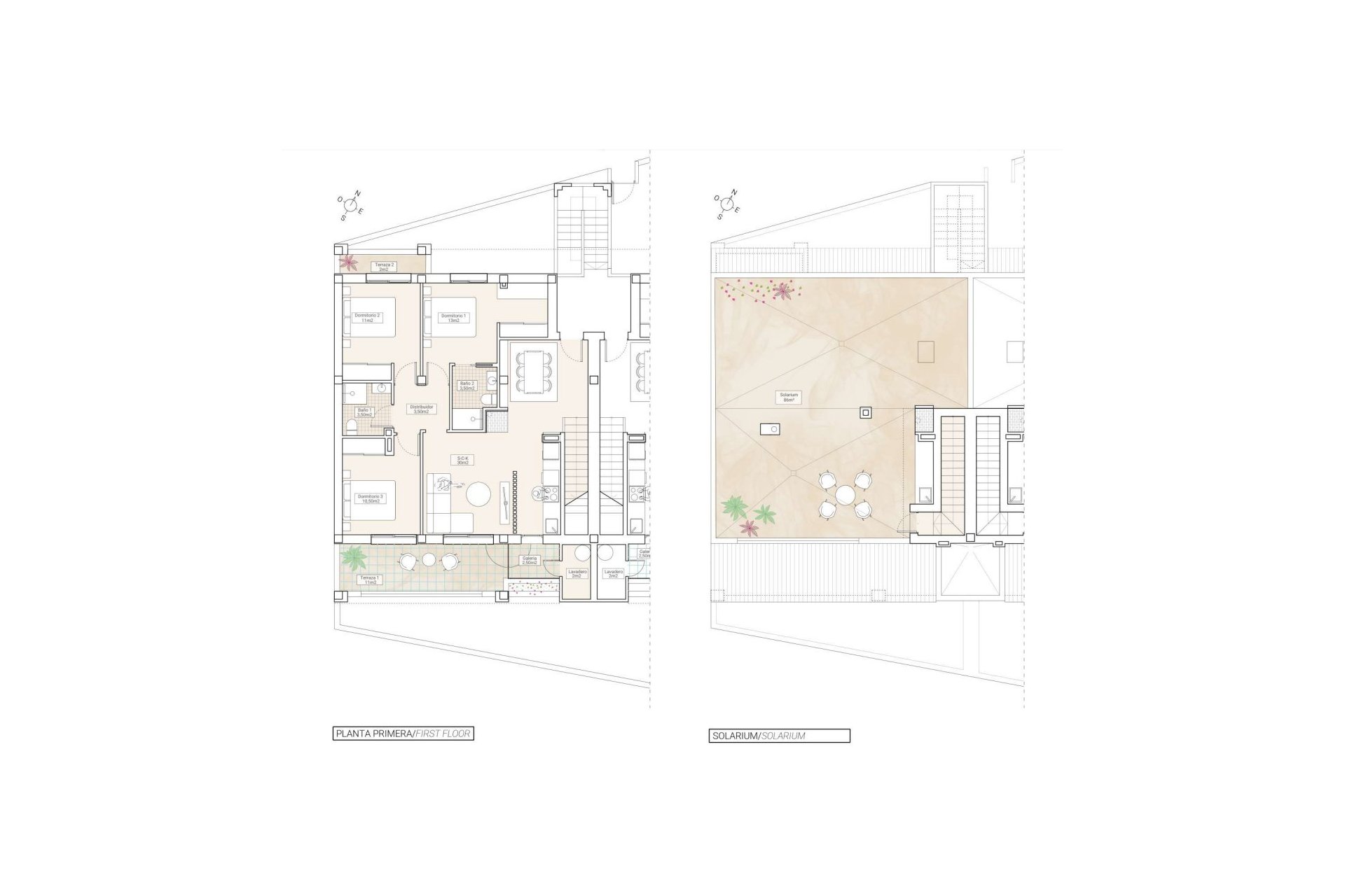 Neue Gebäude - Bungalows -
Hondón de las Nieves - 03688