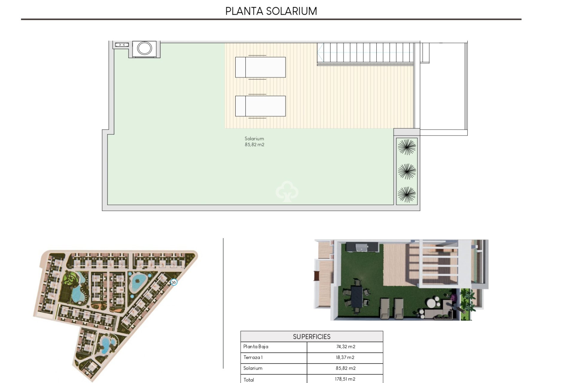 Neue Gebäude - Bungalows -
Torrevieja - 03186, Avenida Denia s/n