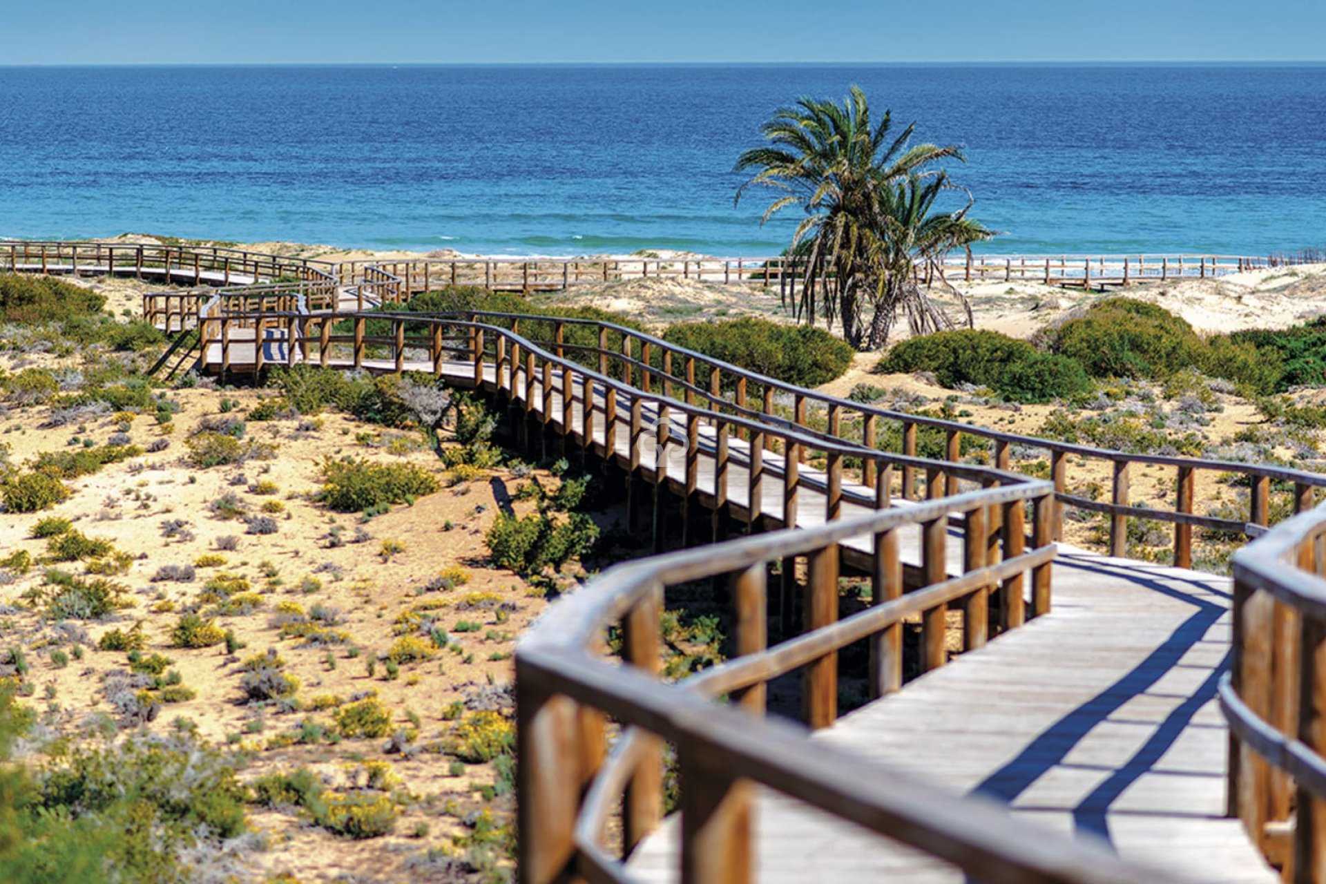 New Build - Bajos -
Monforte del Cid