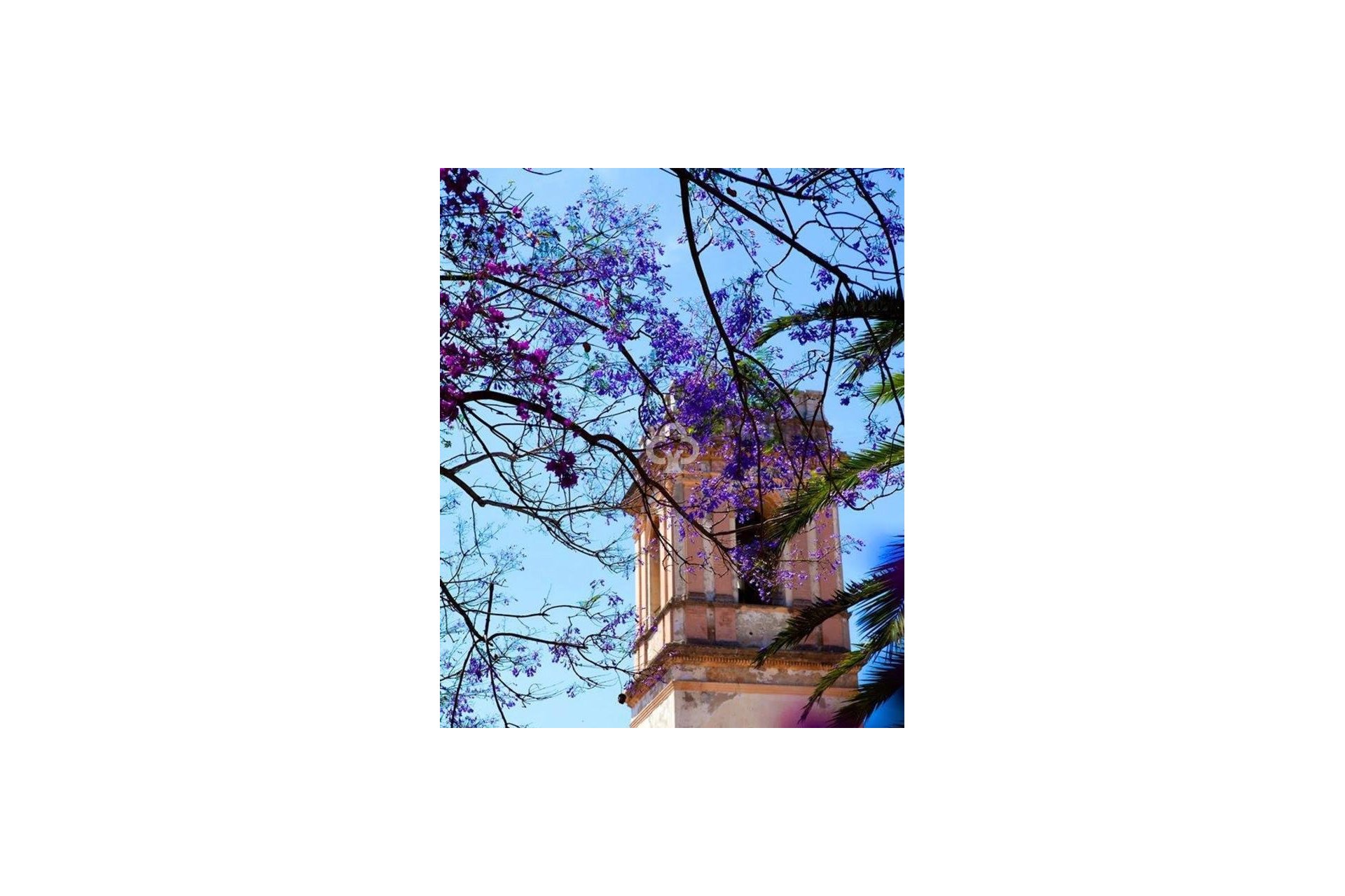 Nybyggnation - Adosados -
Denia - Calle Riu Vernissa, 31